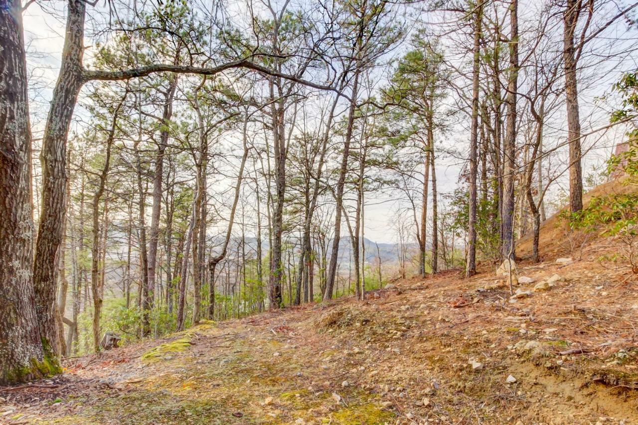 Misty View Cabin Hatchertown Eksteriør billede